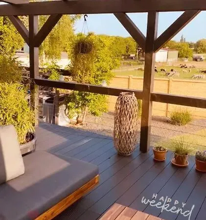 Pool, Sauna Und Blick Ins Grüne * Wittenberg