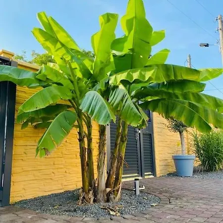 Pool, Sauna Und Blick Ins Grüne *