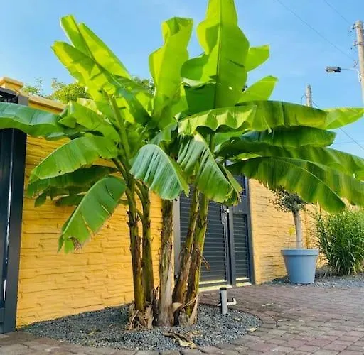 Pool, Sauna Und Blick Ins Gruene *